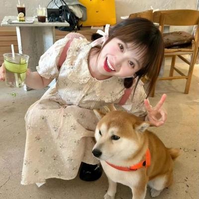 江湖儿女封面